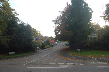 Chamberlains Gardens October 2008